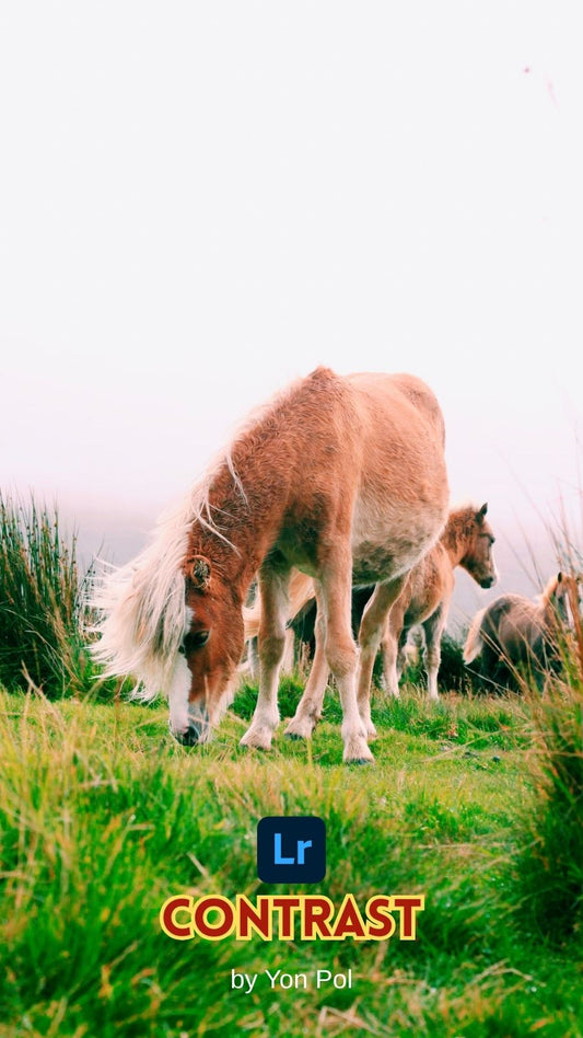 Contrast Pack (9 presets)