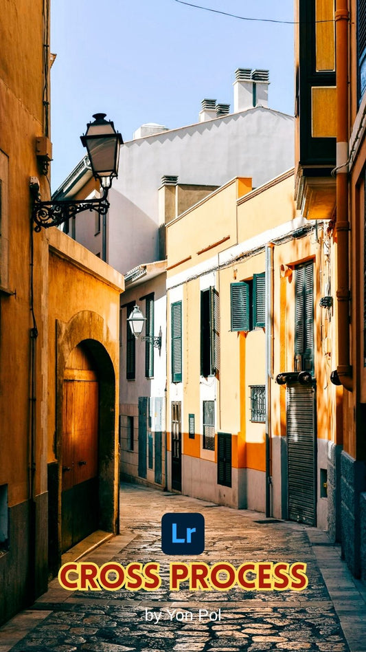 Cross Process Pack (10 presets)