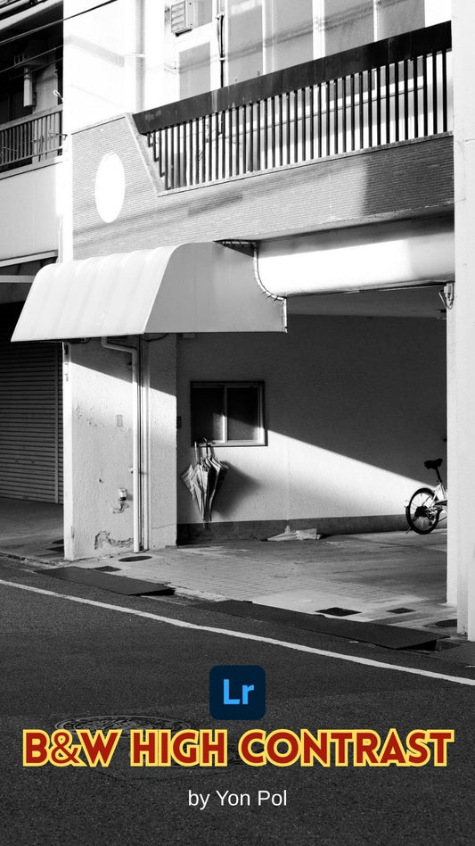 B&W High Contrast Pack (6 presets)