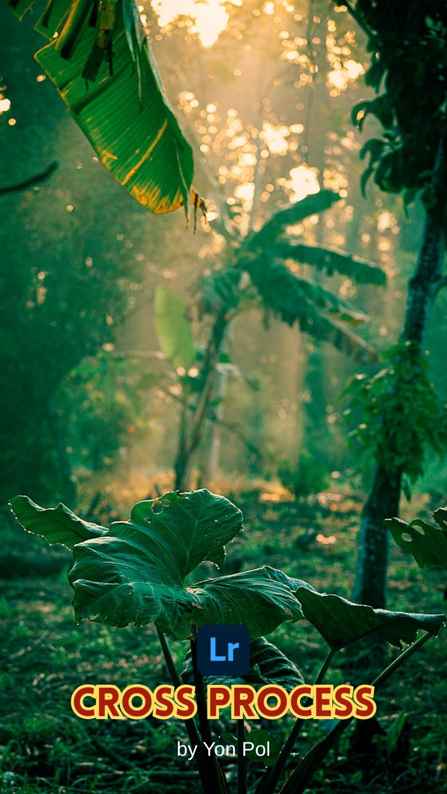 Cross Process Pack (10 presets)