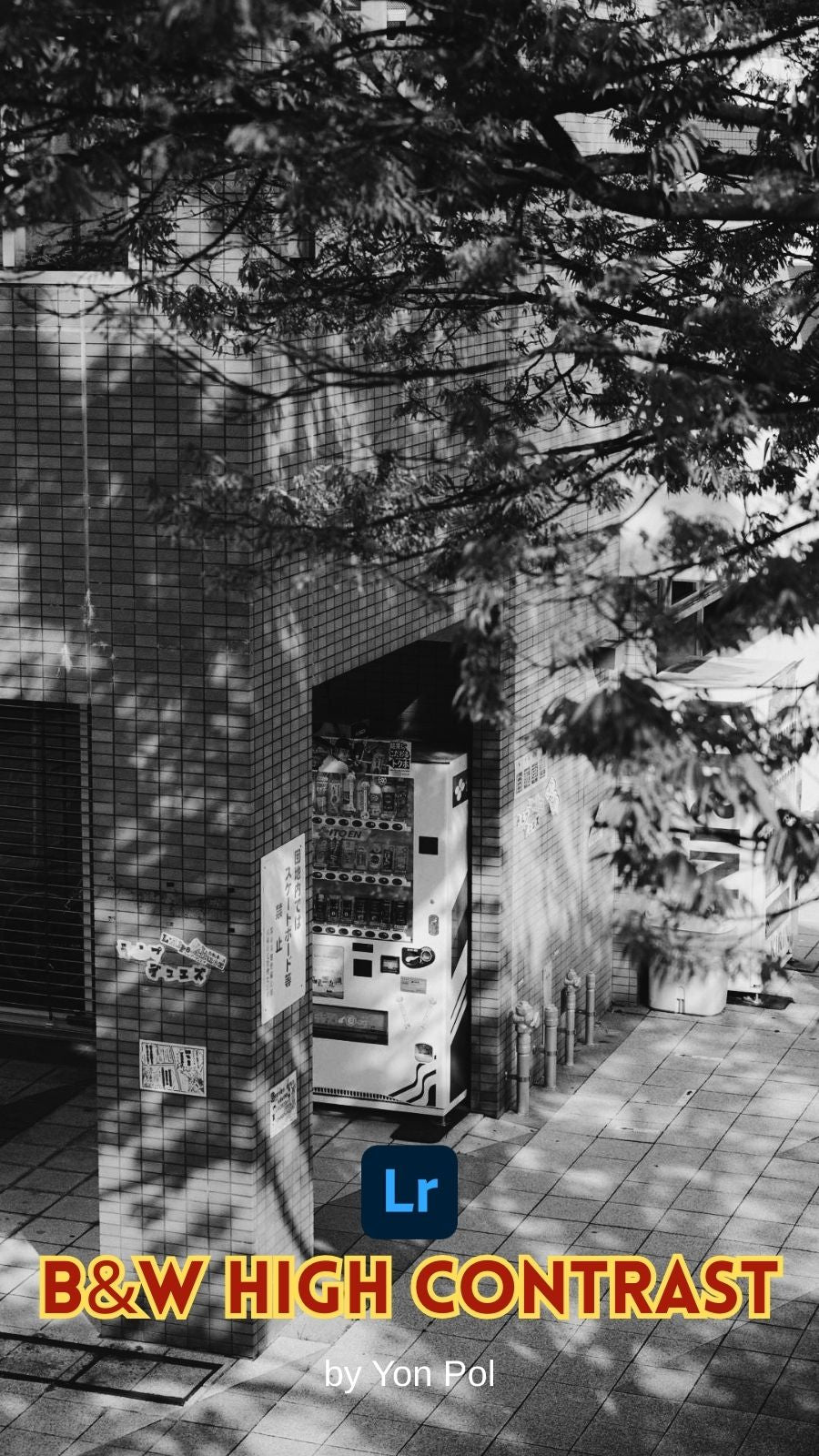 B&W High Contrast Pack (6 presets)